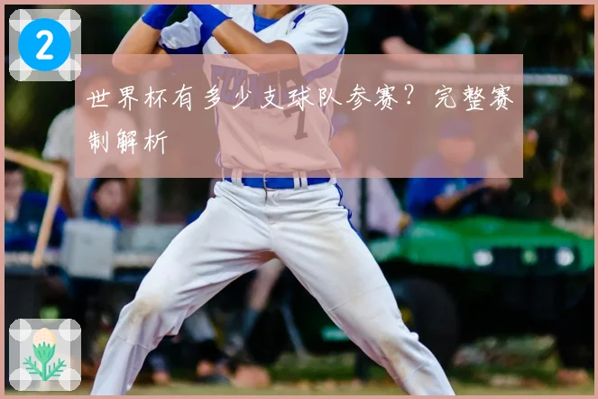 世界杯有多少支球队参赛？完整赛制解析
