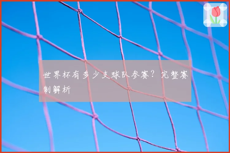 世界杯有多少支球队参赛？完整赛制解析