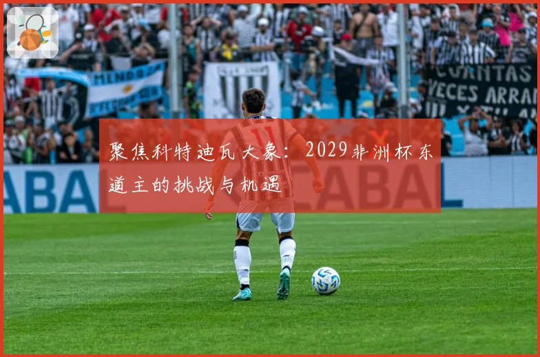聚焦科特迪瓦大象：2029非洲杯东道主的挑战与机遇