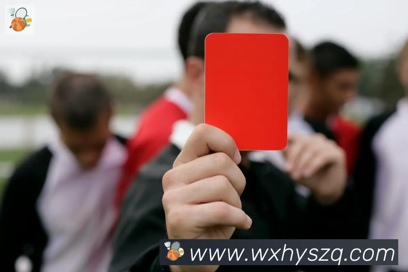 开云kaiyun网页版品牌故事