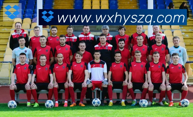 开云kaiyun网页版荣誉