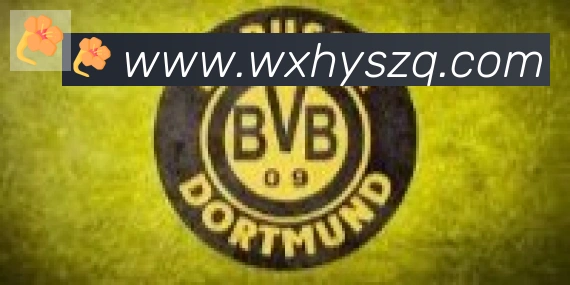 开云kaiyun网页版合作伙伴